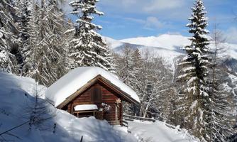 A cozy cabin in the snow, surrounded by tall, snow-covered trees. In the background, the snowy mountains are visible.