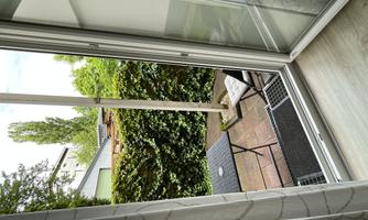 A view out of the window onto a small courtyard with a table and a chair. The area is surrounded by tall plants.