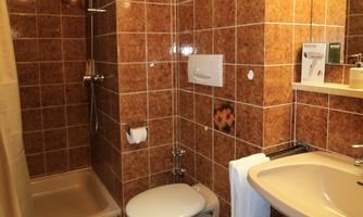 A modern designed bathroom with brown tiled walls. It contains a shower, a toilet, and a sink.