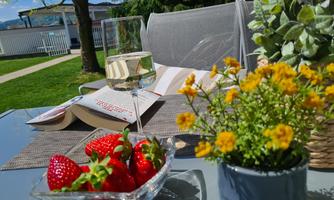 A beautiful outdoor table with fresh strawberries, a glass of wine, and a blooming plant. In the background, books and a green environment are visible.