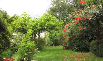 Garten