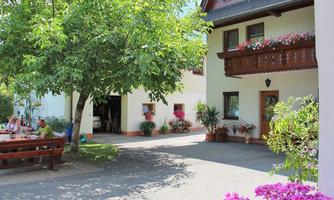 A cozy courtyard with blooming plants and a large tree. People are sitting at a table and enjoying the sun.