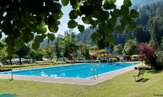 A clear swimming pool surrounded by green grass and trees. In the background, slides and camping sites are visible.