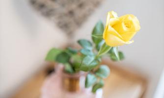 A single yellow rose in a pink vase. In the background, a heart-shaped decorative object is visible.
