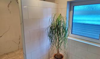 A modern bathroom with a shower and a small plant in a flower pot. The window lets in a lot of natural light.