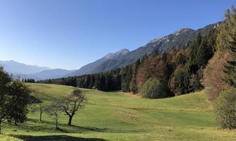A wide meadow surrounded by mountains and trees. The sky is clear and blue.