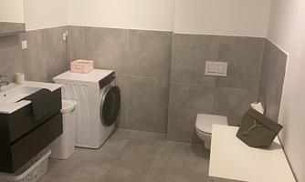 A modern bathroom with a washing machine, a high toilet, and a sink. The walls are designed with gray tiles, and the room feels bright and spacious.