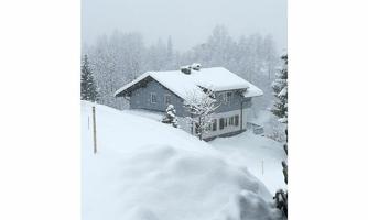 A pretty house in the snow, surrounded by snow-covered trees. The landscape is quiet and wintry.