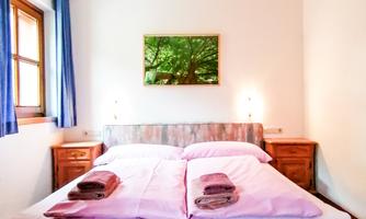 A cozy bedroom with a large double bed and fresh lavender linens. Neutral walls and a beautiful view of a green tree through the window.