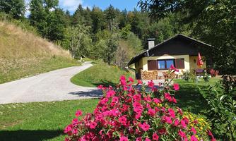 A beautiful house in the midst of nature, surrounded by trees and a gravel path. Colorful flowers adorn the foreground.