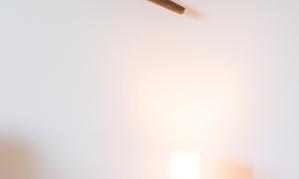 A cozy table with a lamp and a small plant. Two wooden shelves are hanging on the wall.