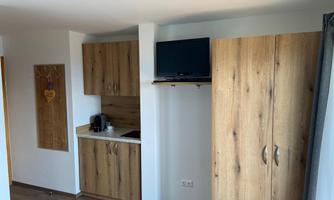 A modernly furnished room with a kitchenette and a television. The room has wooden cabinets and a warm, inviting look.