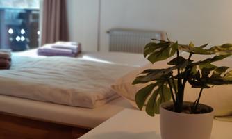 A cozy bedroom with a large bed and fresh towels. On the nightstand, there is a green plant in a white pot.