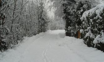 Lieserpromenade im Winter