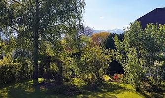 A beautiful garden with many trees and shrubs. In the background, there are mountains and a blue sky.