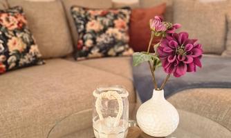 A cozy living room with a beige sofa and decorative cushions. On a glass table sits a vase with a beautiful blooming plant.