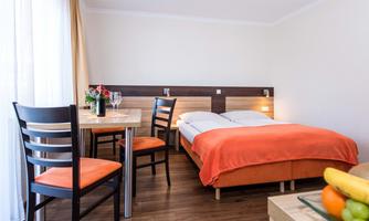 Living-bedroom