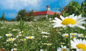 A meadow full of daisies with a red-roofed building in the background. The sky is blue with some clouds.
