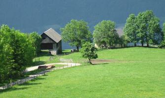 A green field with several trees and two buildings. The surroundings are calm and rural.