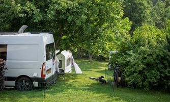 A green campsite with a white RV and trees in the background. There is plenty of grass and small bushes in the vicinity.