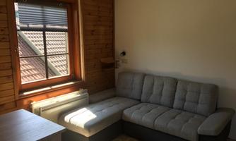 A cozy room with a gray couch and a window that lets in plenty of daylight. The walls are made of wood, creating a warm atmosphere.