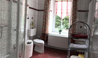 A bright bathroom with a shower and a window. Plants and towels are clearly visible.