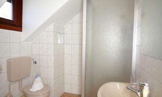 A small bathroom with a slanted roof. It contains a shower, a sink, and a toilet.