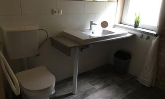 A modern bathroom with a toilet, a sink, and window light. There is a small plant on the windowsill and a trash bin next to the sink.