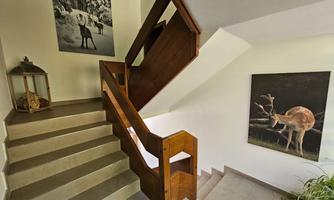 A bright staircase with a wooden railing and two pictures of deer on the wall. On the left side, there is a lantern-like decoration.