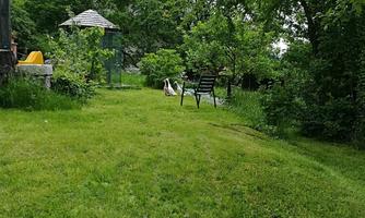 A green garden with grass and trees. In the background, there are two chairs and a pavilion.