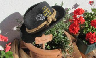 A black hat with a string sits on a herb pot plant. Red flowers are visible in the background.