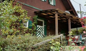 A cozy wooden house with green shutters.  
Surrounded by lush vegetation and an inviting terrace.