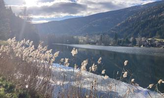 A tranquil lake surrounded by mountains and trees. In the foreground, tall grasses stand at the shore.