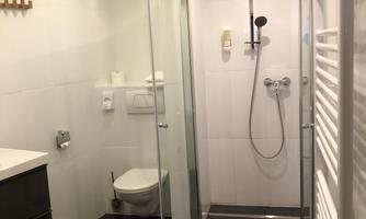 A modern bathroom with a shower and a toilet. The walls are light and the lighting is friendly.