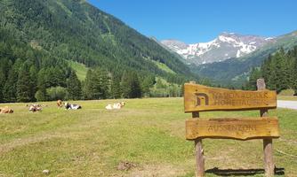 A beautiful mountain landscape with green meadows and clear air. In the foreground, there is a wooden sign indicating the national park.