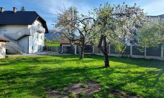 A beautiful garden with green grass and blooming fruit trees. In the background, a bright house can be seen under a clear sky.
