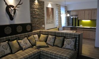 A modern living room with a cozy couch and decorative pillows. The open kitchen is simply and functionally designed.
