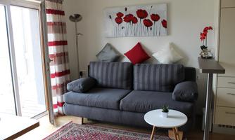 A cozy living room with a gray sofa and colorful cushions. Pictures of red flowers hang on the wall, and the light comes from a floor lamp.