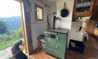 A cozy kitchen with an old, green stove and wood piles. A dog sits by the door and looks out at the landscape.