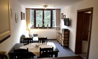A cozy living room with a dining area and a couch. Large windows provide plenty of light and a view of the greenery.
