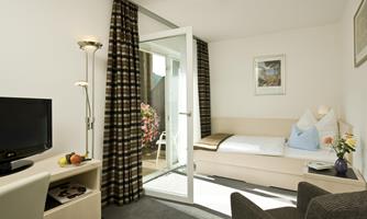 A bright room with a single bed, a television, and a small desk. There is a balcony with a view of flowers and daylight streaming through the doors.