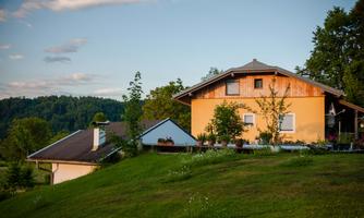 A charming house on a hill, surrounded by green meadows and trees. In the background, gentle hills can be seen, completing the peaceful landscape.