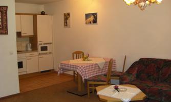 Living-Dining Area