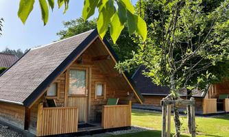 Cozy wooden cabins in a green setting. The sun shines through the leaves, creating a pleasant atmosphere.