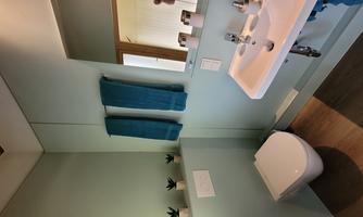 A modern bathroom with light blue walls and a large mirror. The amenities include a sink, a toilet, and decorative plants.