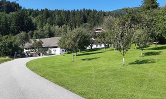 A tranquil landscape with a gently winding road and a well-maintained lawn. In the background, trees and a building are visible, surrounded by green forests.