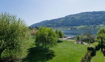 A green landscape with trees and a calm lake in the background. The sun is shining brightly in the blue sky.