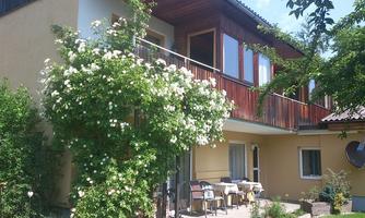 A beautiful house with a blooming shrub in front of the terrace. The surroundings are green and inviting.