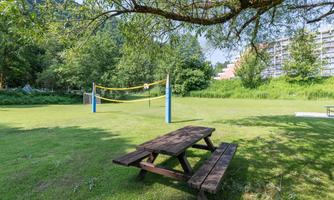 A beautiful park with a volleyball court and a wooden bench in the foreground. Surrounded by trees and fresh greenery.