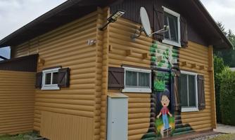 A brown wooden house with a colorful mural and windows. The surroundings are green and it is cloudy.